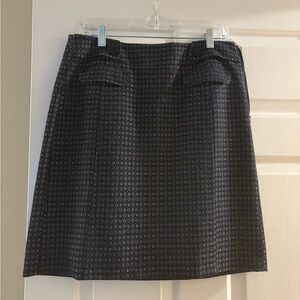 Ann Taylor Skirt